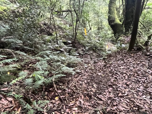 2025_0622 霞喀羅大山2819200