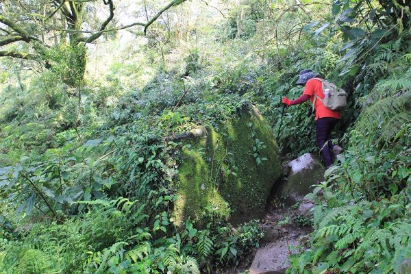 大屯山主、南、西峰O型322203