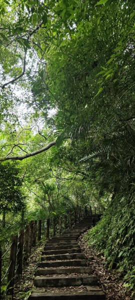 新竹內灣．馬胎古道202506212823510