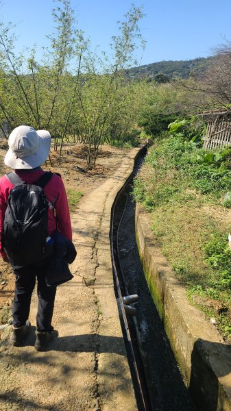 2025-0130溪和宮-大崎頭步道-鵝尾山-平溪步道-鵝尾山水田-42巷-溪山百年古圳-平菁步道2701939