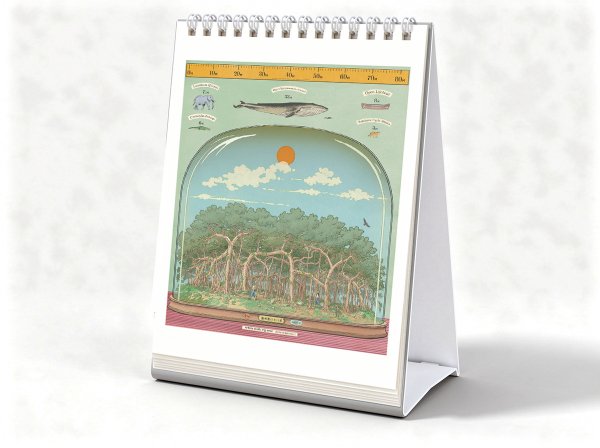 【產品活動】臺灣森林植物之最　林業保育署2027月曆《非常之森》即日起預購