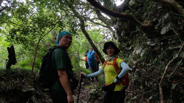 小百岳+古道~八五山古道登李崠山(#2618108