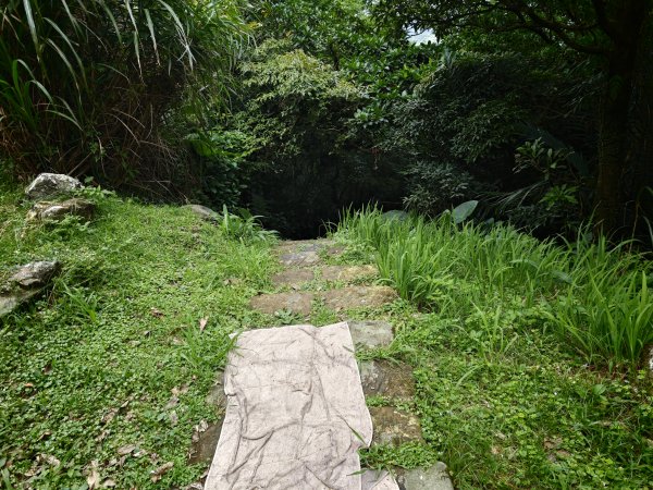 [淡蘭古道] 2026_0531 北路第四段_金字碑古道(中)-山羌3071058