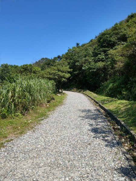 金瓜石地質公園-黃金神社693956