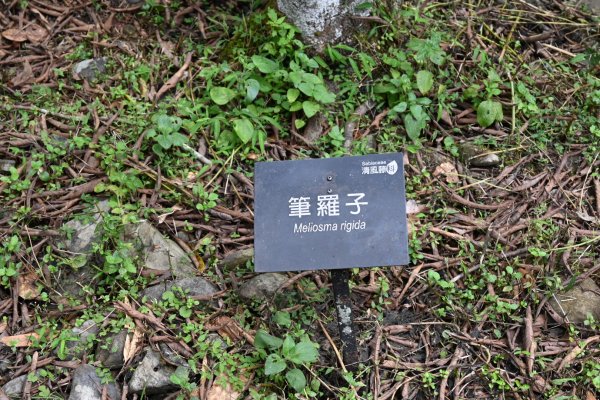 2025_0712 福山植物園2836253