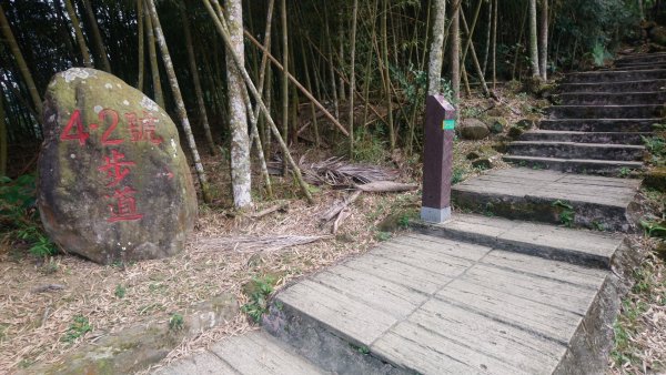 山豬湖步道接4-2步道到二尖山、大尖山1608486