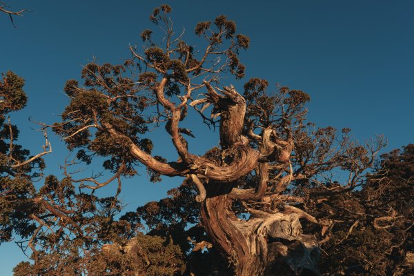 【玉山】主峰北峰二日，臺灣第一高峰雪季最美角度1881272