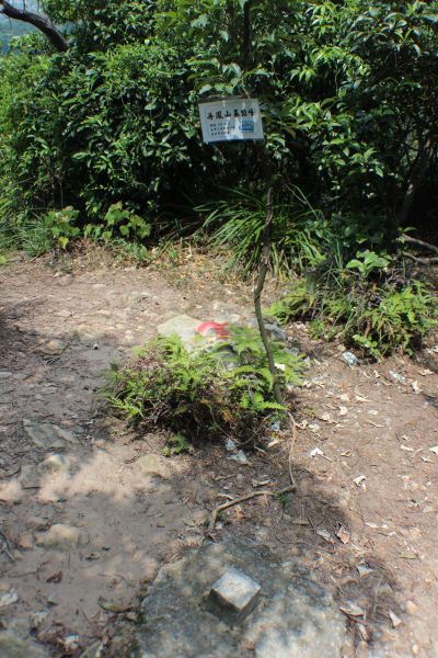 唭哩岸山~軍艦岩~丹鳳山稜線路線150673