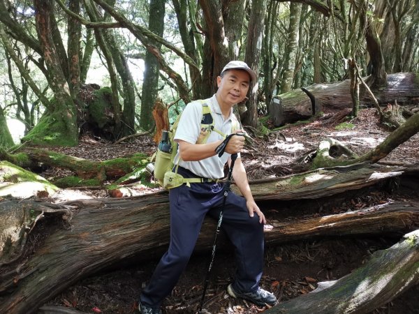 拉拉山巨木步道-塔曼山步道_202407022569699