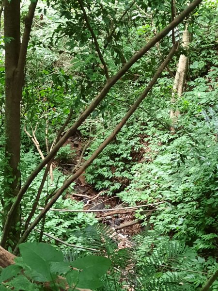 20230722 頂山石梯嶺縱走坪頂古圳，聖人瀑布2227229