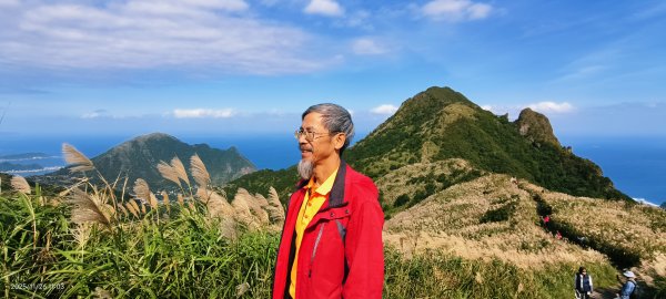 #半屏山 #芒花 11/262946040