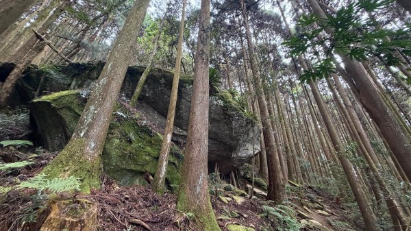 加里山 2025 12/282971692