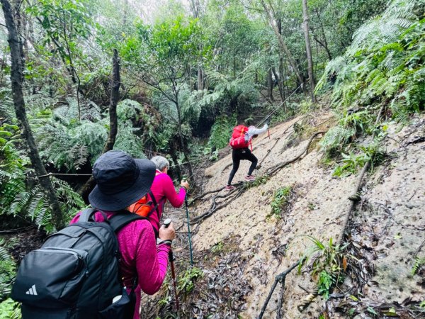 1131225新山夢湖2676515