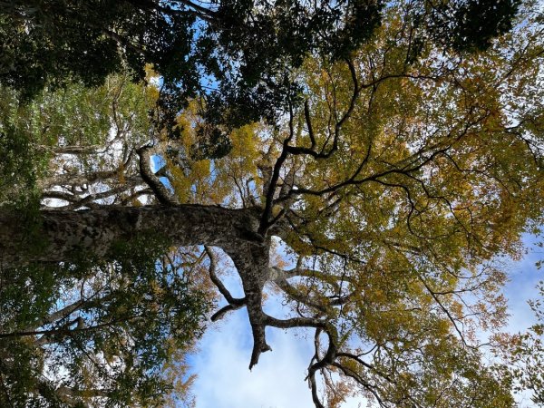 20221112_北得拉曼山2762254