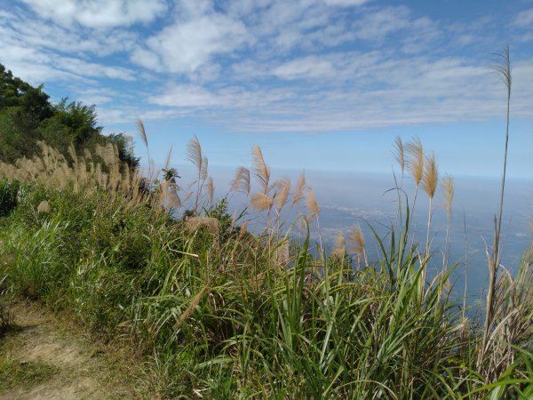 2020-2021 後棟仔 大尖山 二尖山1527151