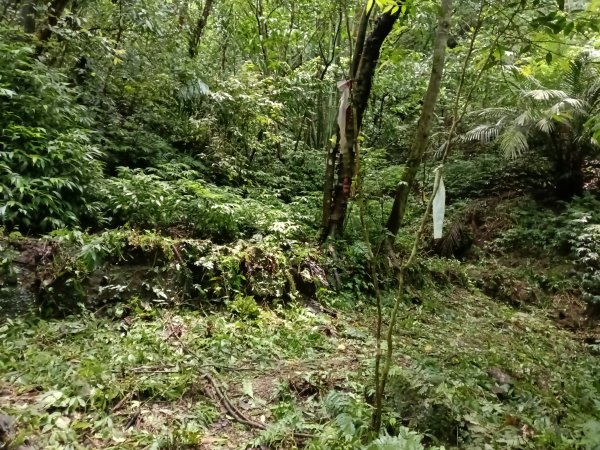 平溪區三功大厝+番子坑山+千階嶺步道O型2781131