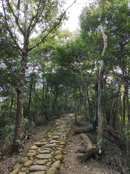 2023.11.01 蓮華山古道群2489013