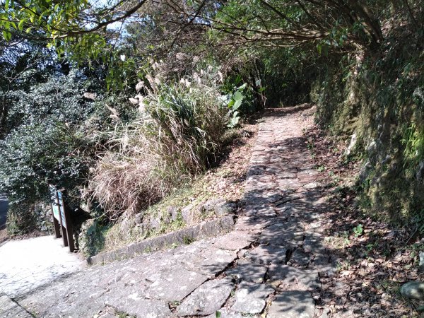 【臺北大縱走第二段】小油坑至二子坪完成1263066