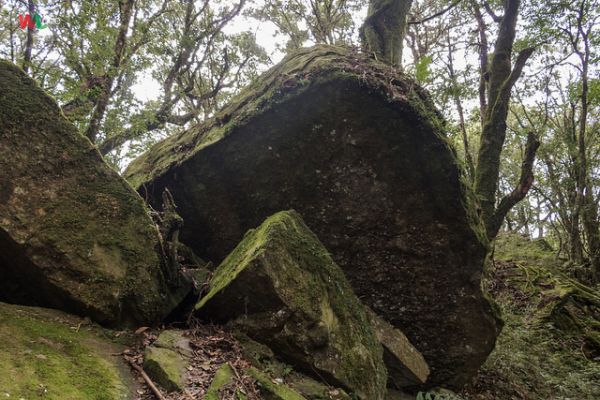 WL 愛旅行【加里山】275231