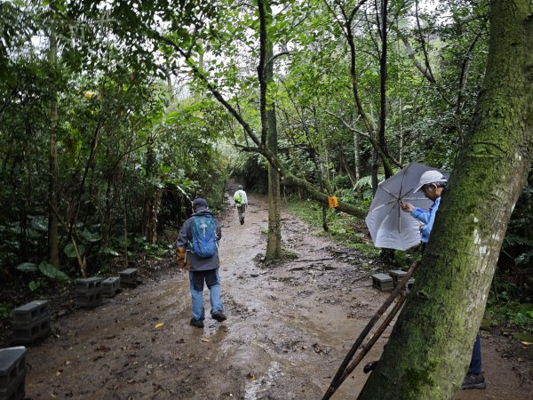 2026_0131 獅球嶺中央砲台2997614