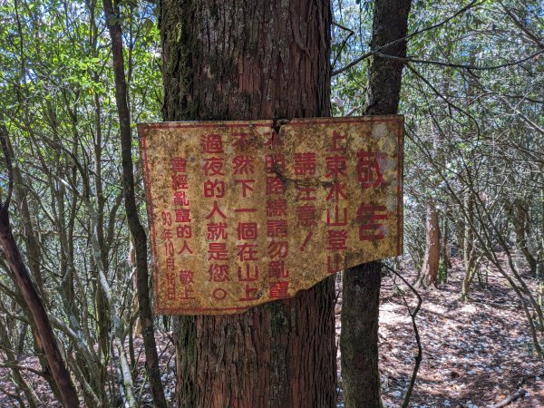 幾乎包場的兒玉山(自忠山)走東水山接特富野古道2548667