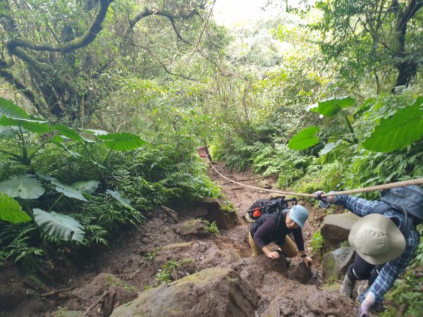 興福寮登山口上大屯山1561323