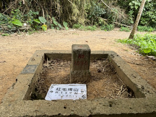 2022_0213_紅毛埤山2039640