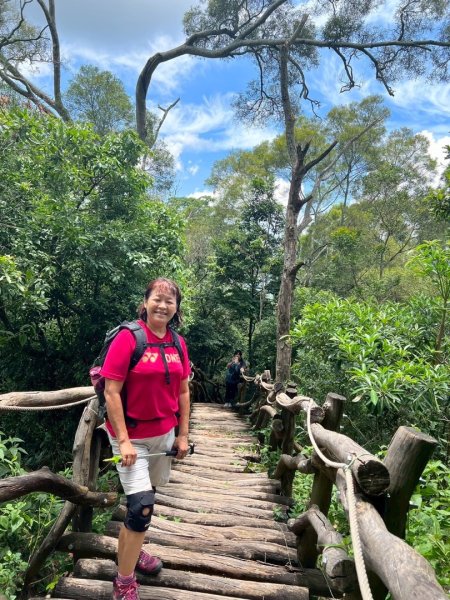 大坑1號和2號步道2826381