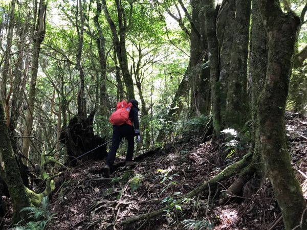 大混山連走李崠山397928