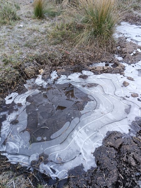 2024.12.29~31久久巢山走卓社大山2732049