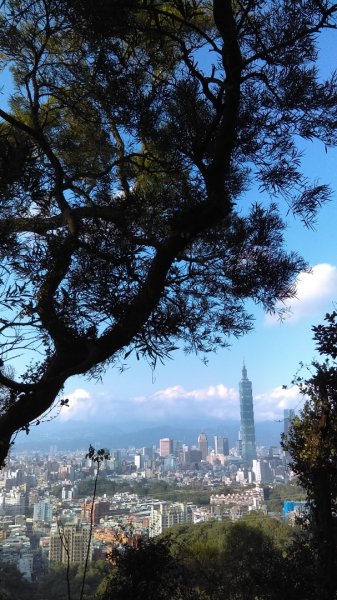 【臺北大縱走6】富陽公園、福州山、中埔山713565