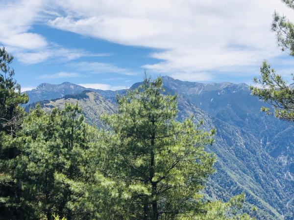 【眺望玉山群峰】鹿林山1806787