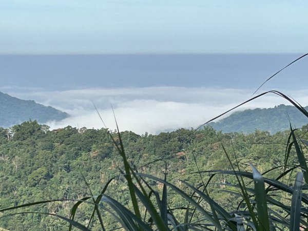 白雲山2635820