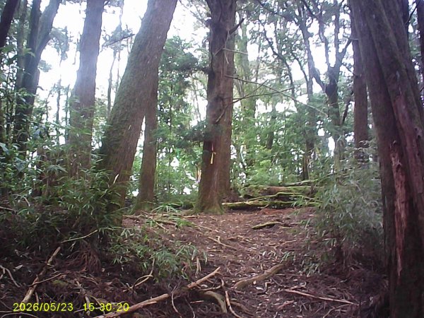 二萬平火車站附近的「屏遮那山」3061542