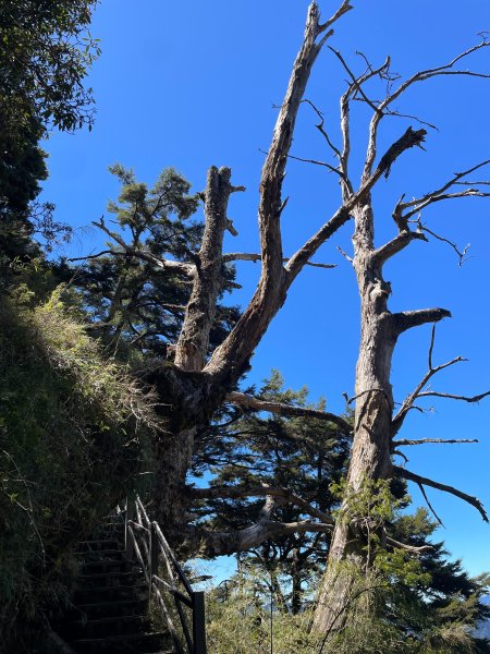 【健人HIKERS】兩天一夜玉山主峰、玉山西峰2769125