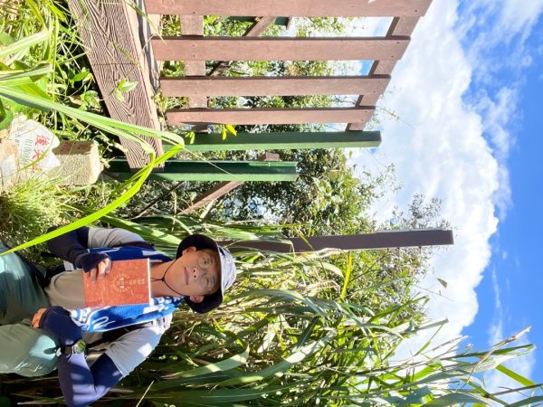 20250821_後尖山（南投小百岳）2941154