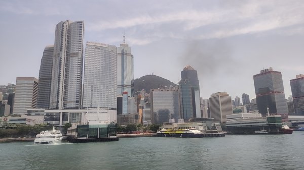 香港長洲鳥2504628
