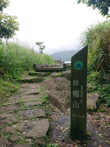 天母水管路步道、紗帽山、七星山來回走1662081