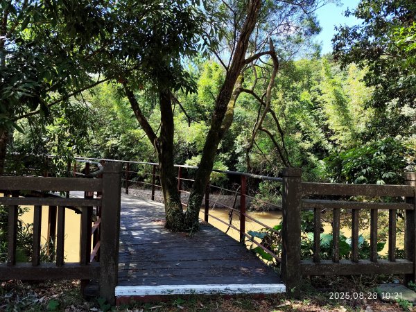 翠山步道、大崙頭尾山親山步道【臺北健走趣】2874325