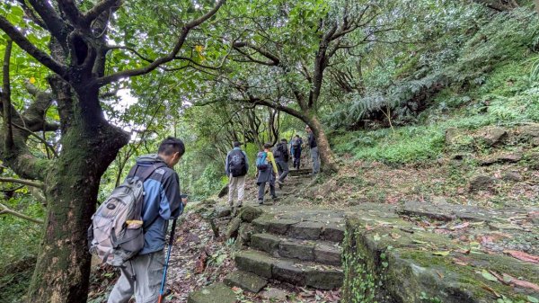114.11.01旅聯網21週年活動之七星山-七星山東峰-七星公園-夢幻湖2928893