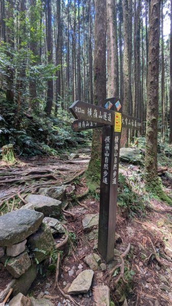 橫沙笛縱走 (木馬古道、橫嶺山、沙蓮山、笛吹山)2550370