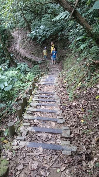 20180520望古瀑布、嶺腳寮山步道370232