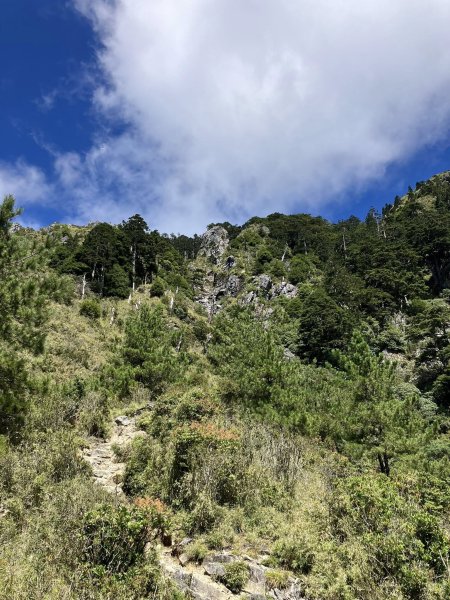 20251005 玉山前峰2906791