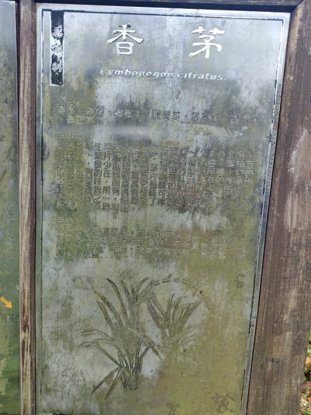 鳳鳴古道 鳳鳴山 南隘勇（南長城）古道 三湖山 八達嶺（龍骨）古道 綠色古道 延平古道2975287