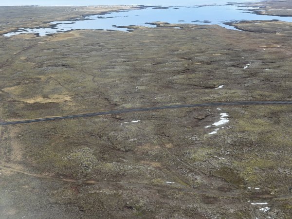 [紐約馬之行-50] 2025_1109~11 回到冰島/美國2952668