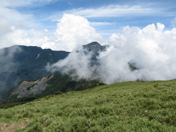 《南投》愛上山｜合歡山東峰2016061412173