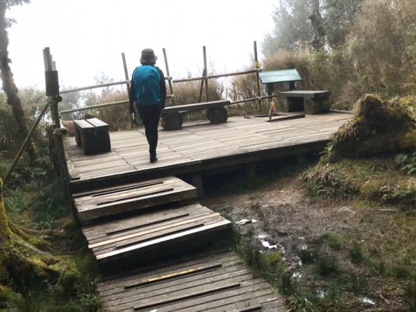 雨霧散遊太平山885968