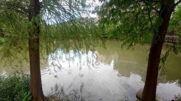 台北丹鳳山軍艦岩唭哩岸山奇岩山順走奇岩埤O型2763223