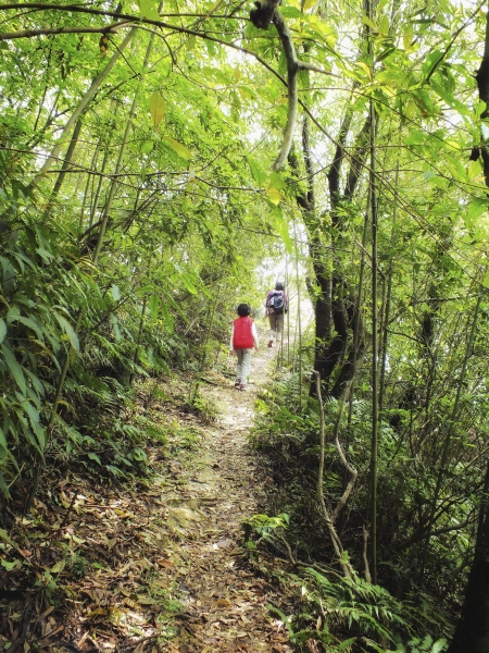 平湖森林遊樂區-(平林山 番仔坑山)16290