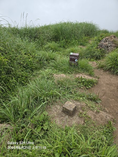 2025-06-21臺北大縱走第二段：二子坪至小油坑2821071
